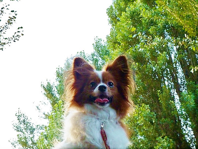 うさ＊時々かえたん tweet media