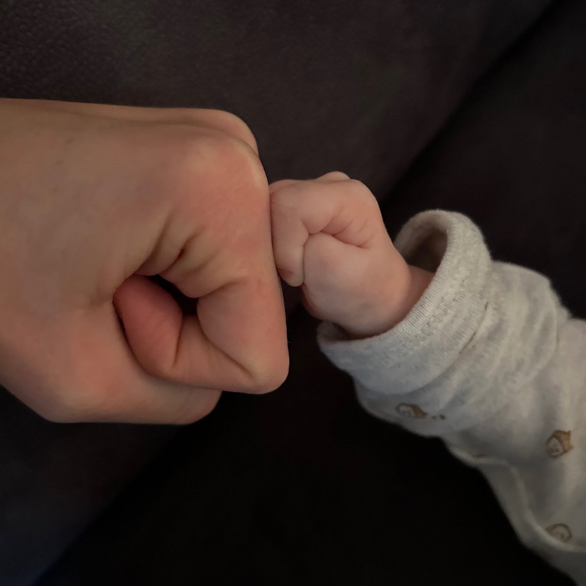 Kristen R Maynard tweet media