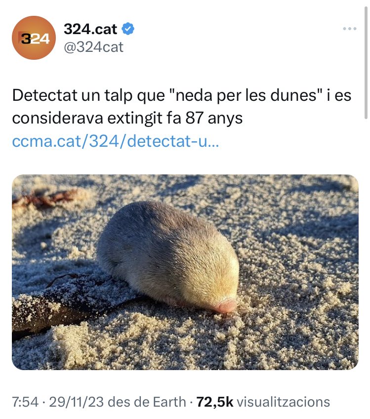 Aquest pont se sentirà així