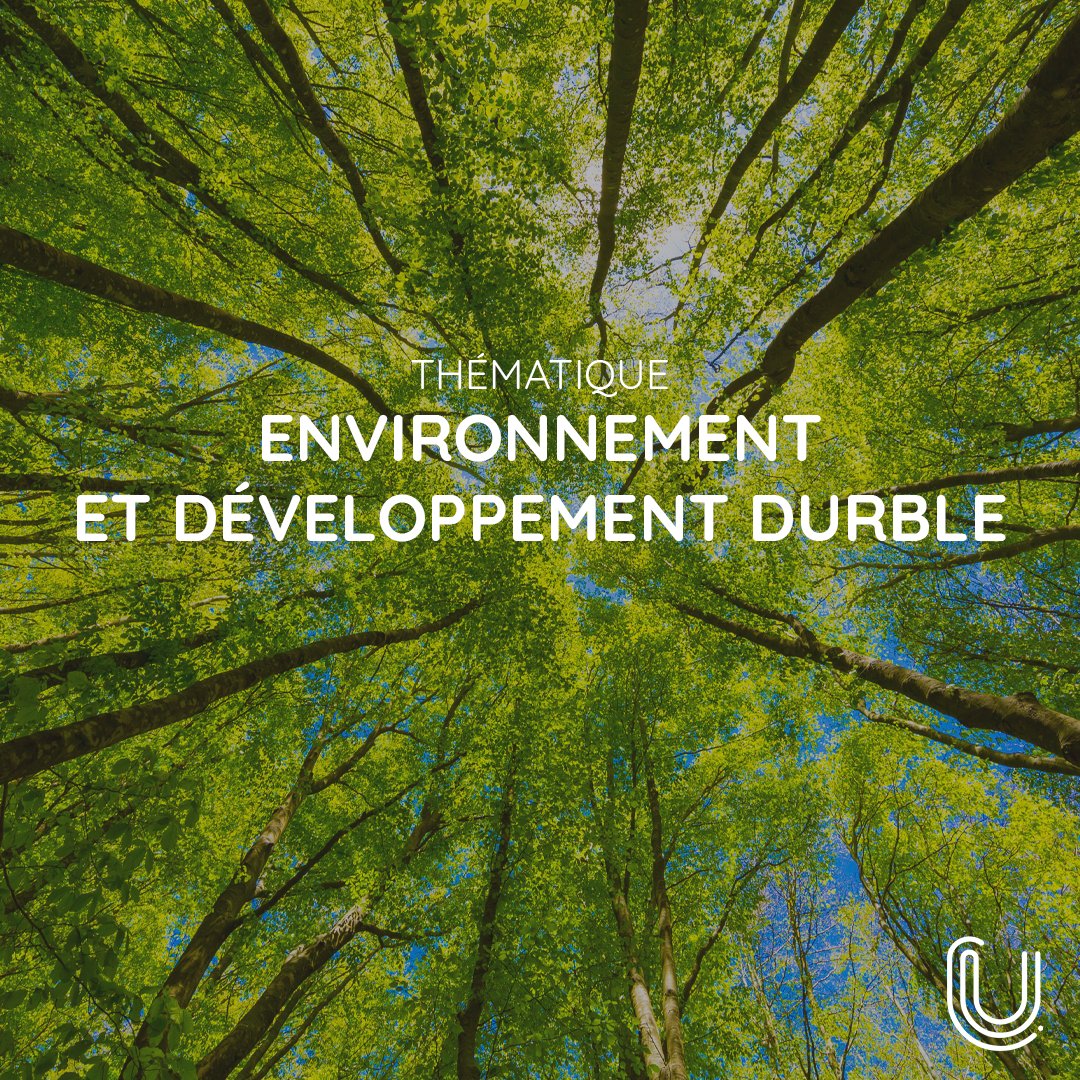 🍀 Vous avez-dit 'Environnement et développement durable' ? Cours, atelier, conférences, documentaires, entretiens, vidéos pédagogiques... Pendant que la #COP28 se déroule à Dubaï, partez à la découverte de cette thématique sur #CanalU 👉 shorturl.at/goL29 !💨