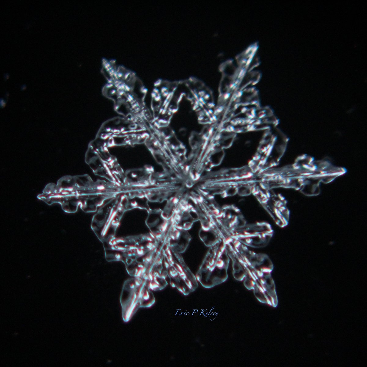 #Snowflakes on the van this morning.