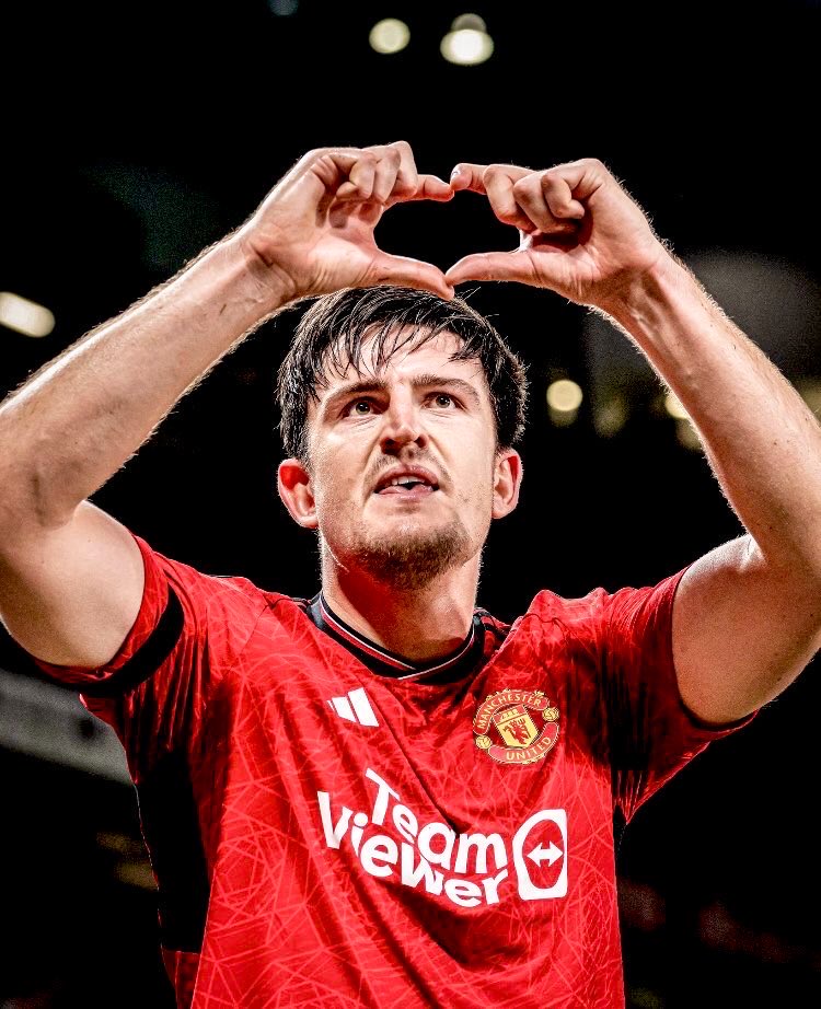 Harry Maguire is the Premier League Player of the Month for November.