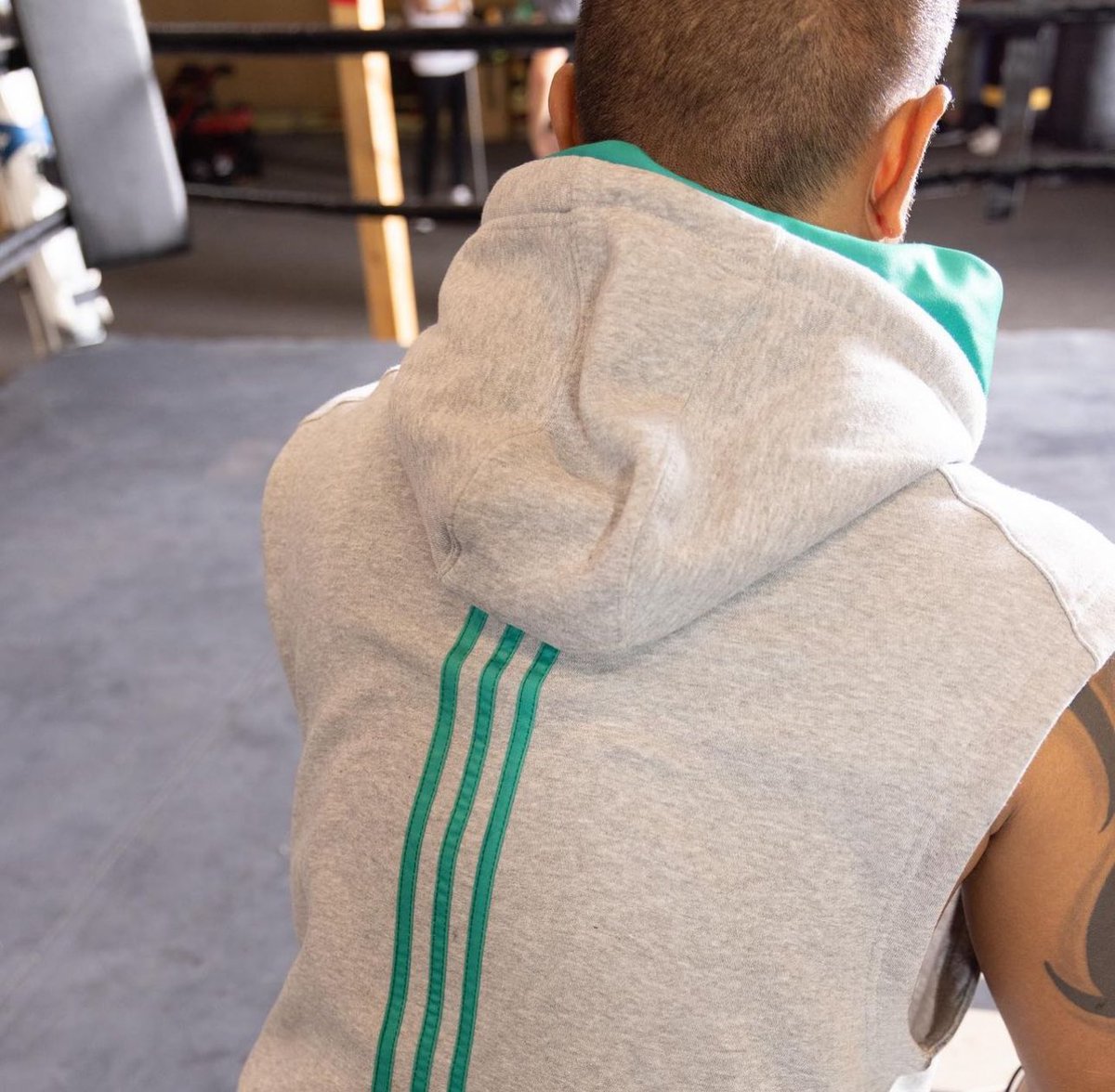 TheRealMGesta's tweet image. Green @adidasUS Boxing stripes x @WBCBoxing 

#ImpossibleIsNothing #GreenStripes #BoxingWorkout #Boxing #WBC #ChampionOfHope #AdidasBoxing #Adidas

@mrboxingguru @chrisdessalles 

📸 @adidasUS Boxing