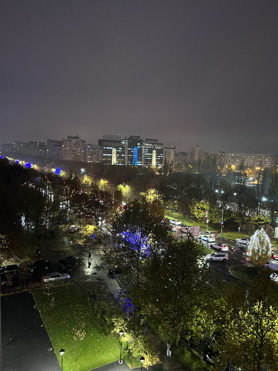 Lin Kovacic tweet media