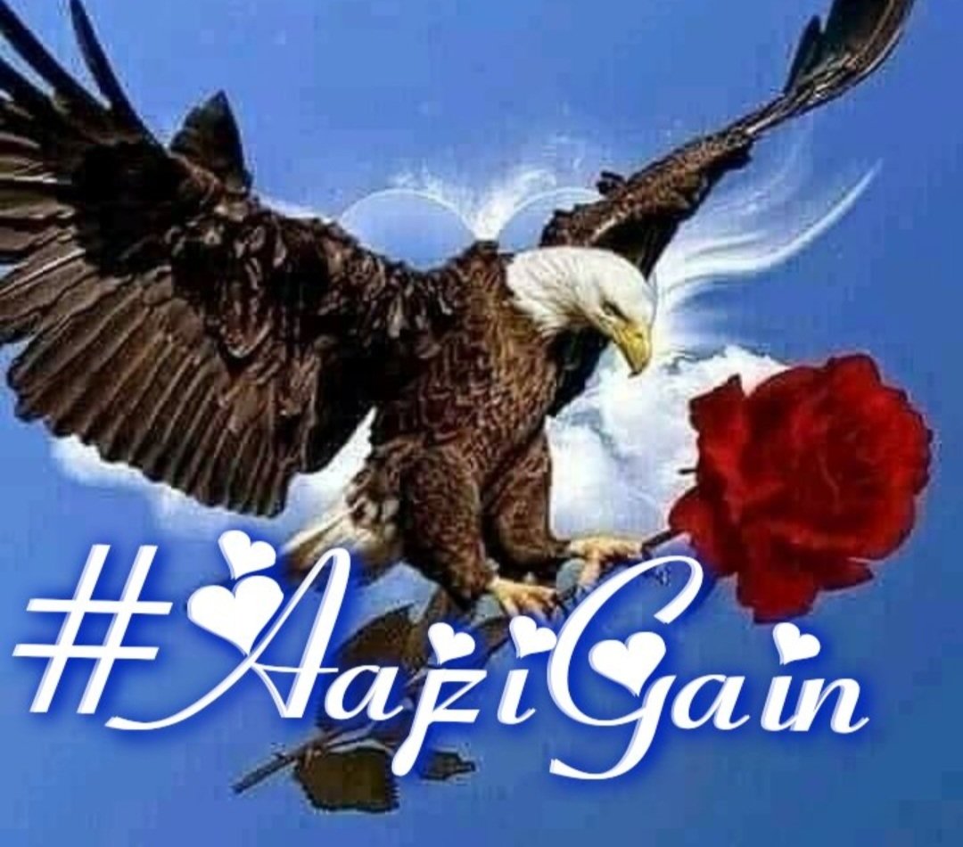 #AajziGain💥
#TMAAJZI
@khalidaajzi
@RosaNegra008
@shah_aajiz
@neusologist
@sufi166
@mvf7186
@Dzarop
@NazliMalik540
@nbea_h
@ArleinQ
@Lea_Dhai
@Eduardo15826198
@PendasRobert
@Nazia_fb
@Aa_ban1
@mamiRD_
@miarianmoreno
@NewCarlonet
@moni_dollnature
@voor21
@MSTQ86
@_Dara0 
@IfbSdv