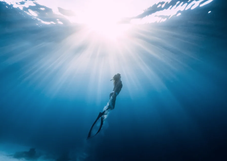 Greg Norris tweet media