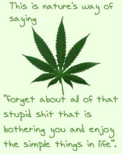 David Dinenberg tweet media