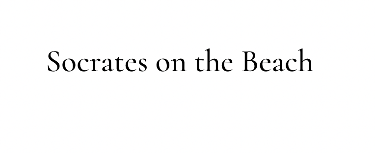 Greg_Gerke's tweet image. Socrates on the Beach nominees for Best American Short Stories and Essays includes Gabriel Blackwell, Devyn Defoe, Roderick Moody-Corbett, Xiao Yue Shan, and Christina Tudor-Sideri. Thank you to these wonderful writers. Read below. @devyndefoe @MoodyCorbett @dreamsofbeing_