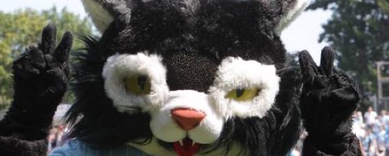 <a href="/NxlsVenceremos/">Nils 🧪🇳🇬👨‍🔬</a> <a href="/ChemnitzerFC/">Chemnitzer FC</a> <a href="/ChemCat_/">ChemCat</a> Glückwunsch <a href="/ChemCat_/">ChemCat</a> Alles für die Katz!