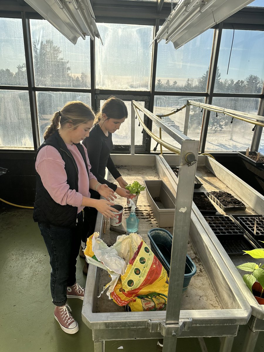 Grade 9 students at MVHS in @asdnnb are working with @gaiaproject and @EcoSchoolsCAN to make a sustainable difference in their school community. Students here are utilizing their school’s greenhouse to determine an efficient plan for food sustainability.