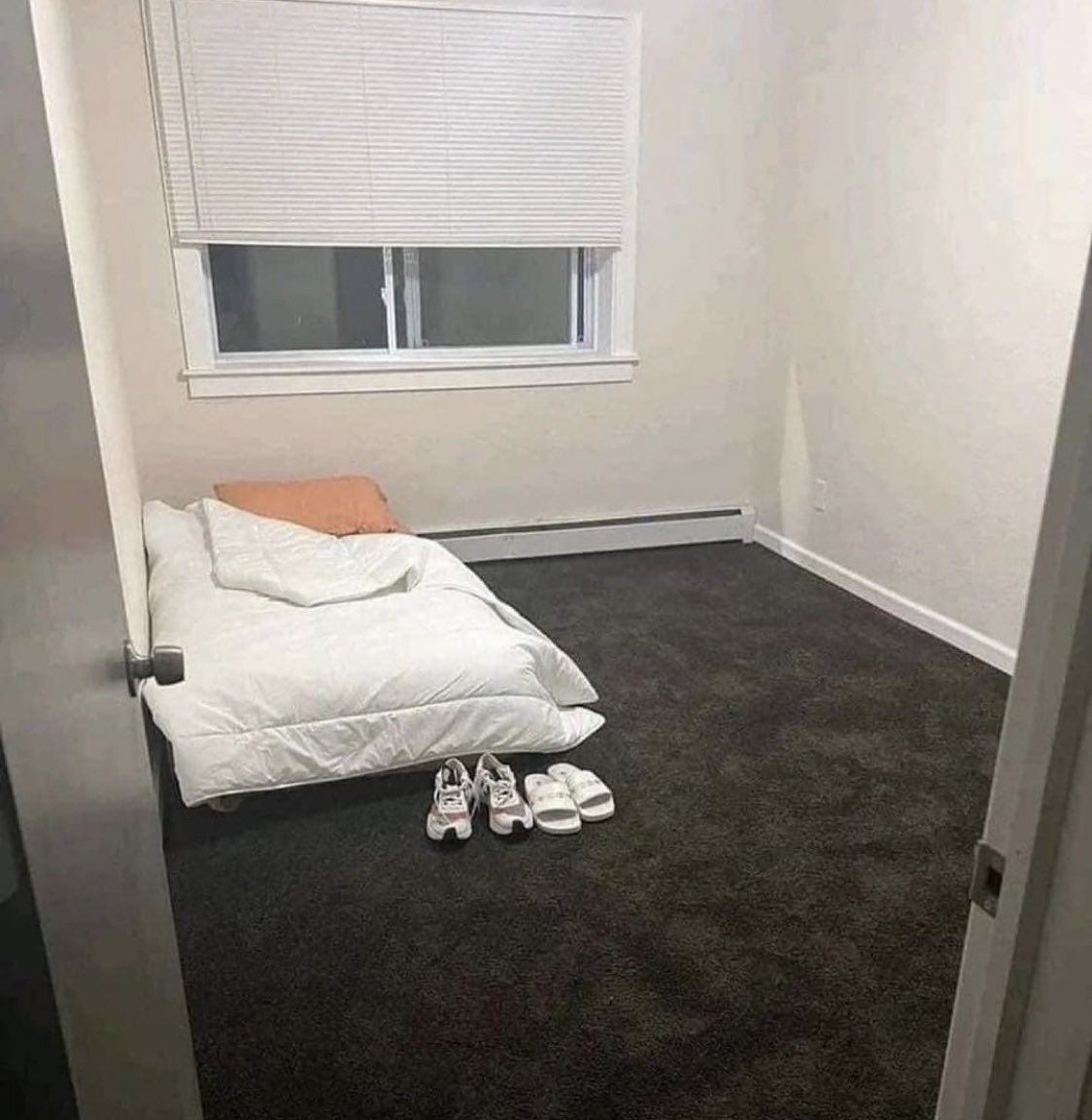 Mirabell tweet media