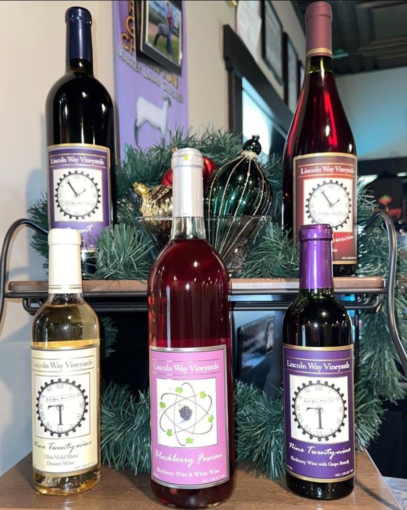Too busy to make it to our winery? No worries! We deliver the wine straight to your door! Order online anytime at lincolnwayvineyards.com or by calling the winery during business hours. Sip, savor, and let us handle the rest! 

#findyourwinetime #ohiomadewine #winedelivery