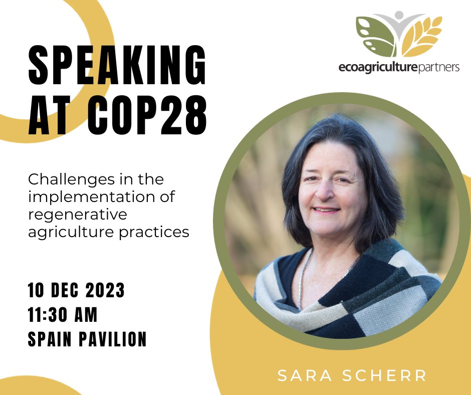 🌿Sara Scherr will speak on "Challenges in Implementing Regenerative Agriculture" at #COP28 in Dubai on Dec 10, 11:30 AM. Join her at the Spain Pavilion in the Blue Zone. Let's accelerate global action for ecological transition and #ClimateChange!
ecoagriculture.org/events/COP28_C…