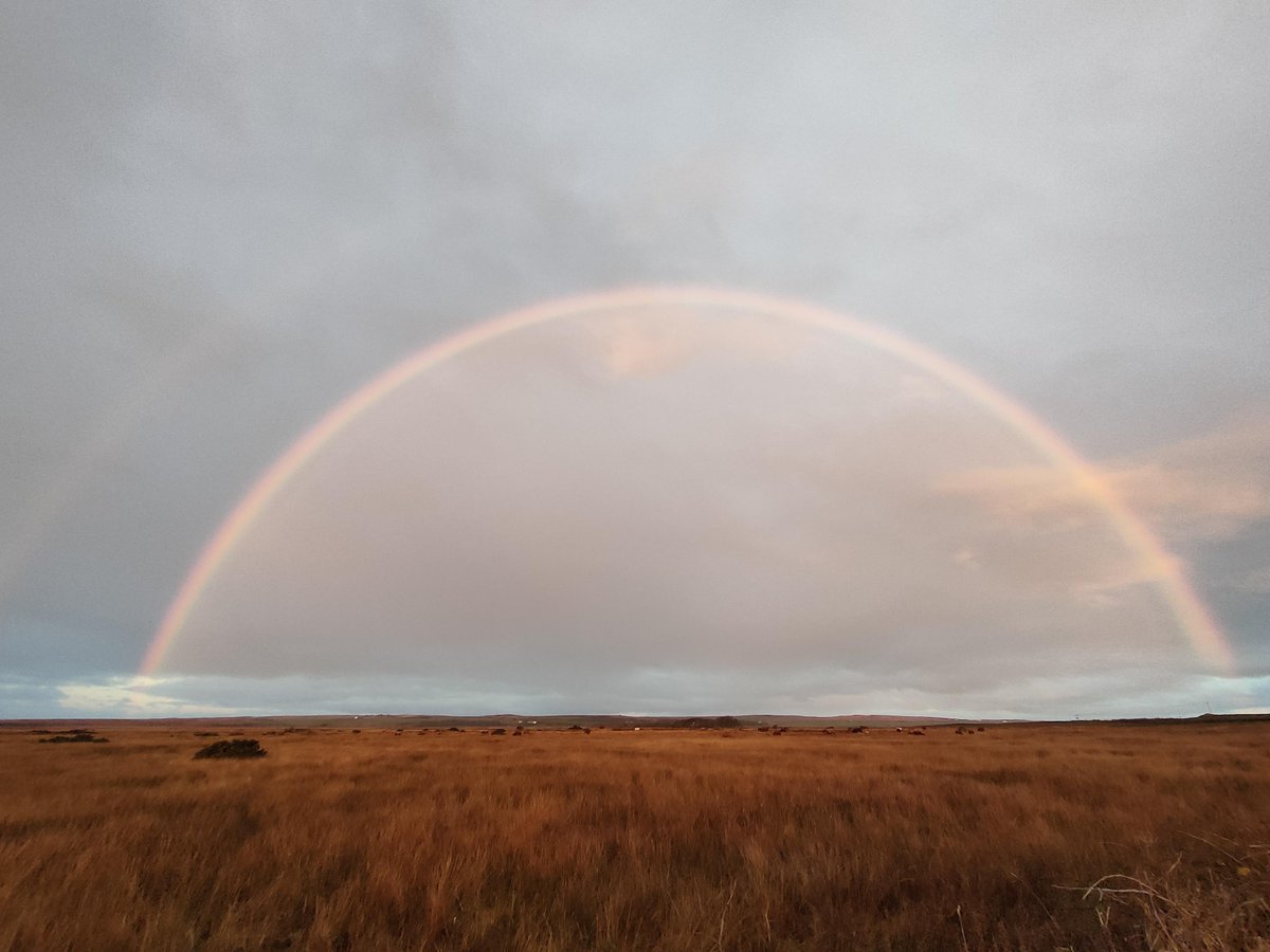The sun has been shining this week on Islay, with the occasional shower producing some spectacular rainbows 🌈 😍 📸 A rainbow over RSPB Loch Gruinart, Islay (c) SotE Project Officer Lucy