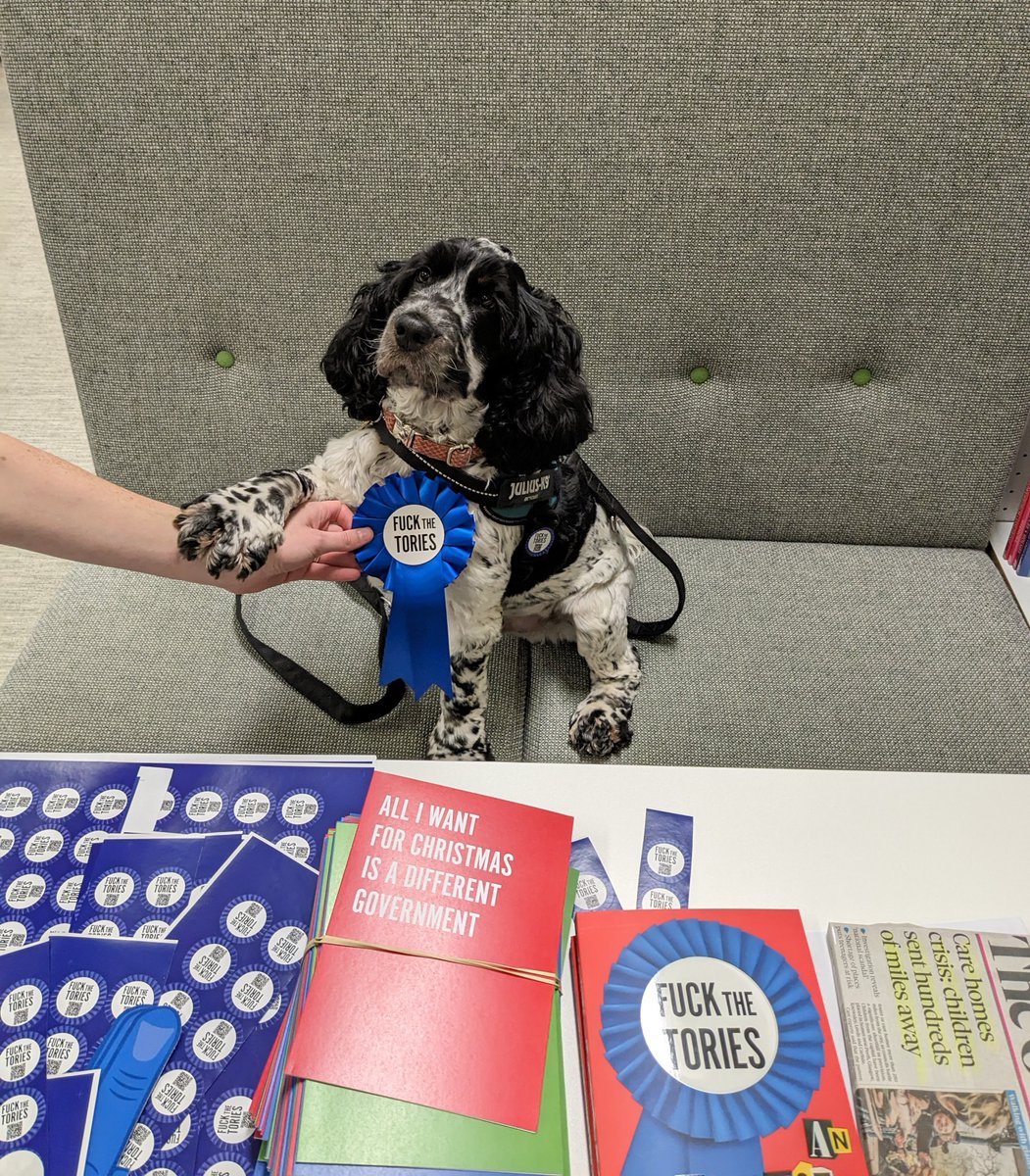 BooksSphere's tweet photo. Our Sphere intern for the day - lending a paw to some mailings for #TheLibraryThief proofs and #FuckTheTories activity book🐾📚
#BringYourDogtoWork #SouthendDogTraining #HowtoTrainYourDog https://t.co/F4gMfo1siJ