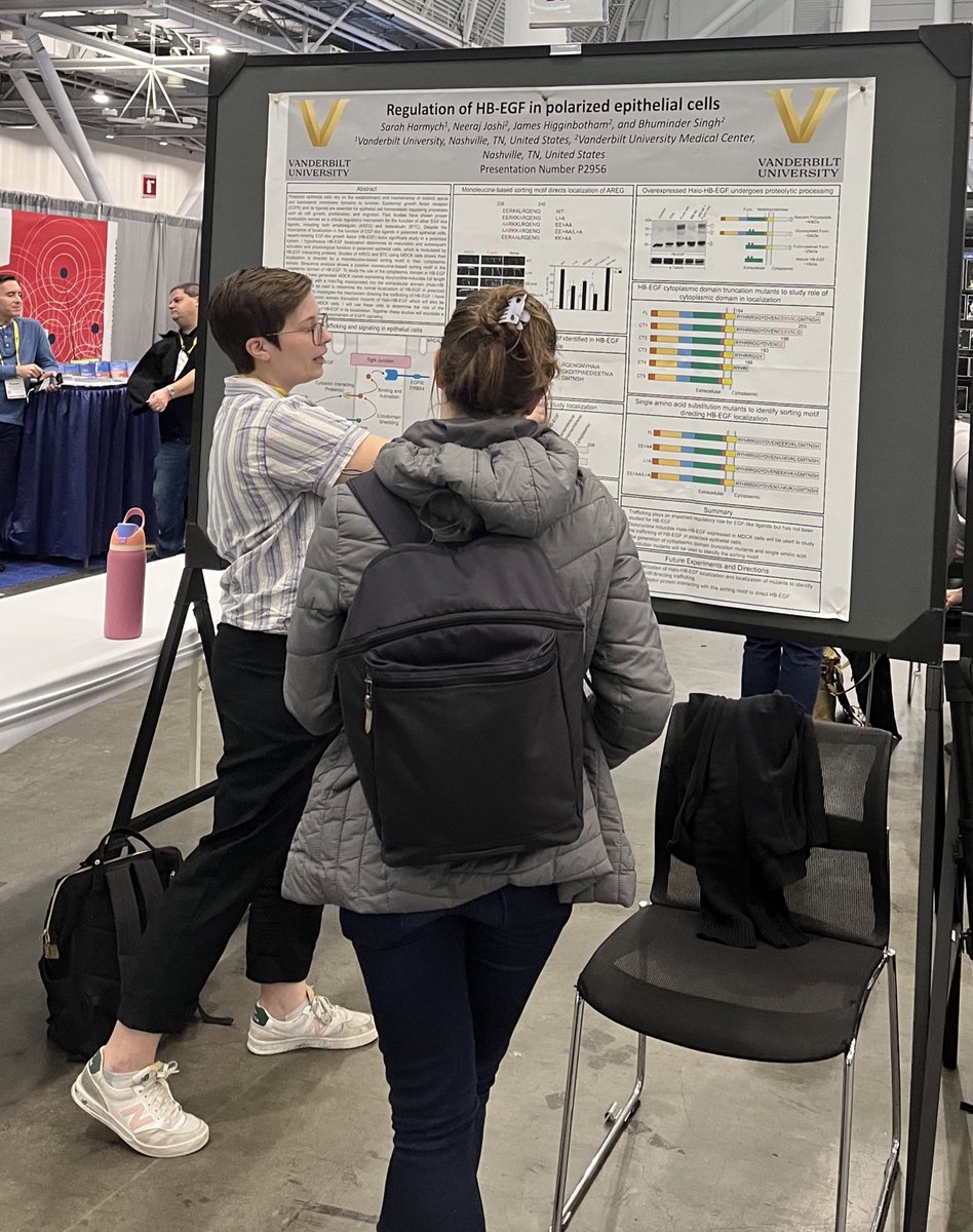 Great first @ASCBiology #cellbio2023 meeting by my graduate student @HarmychSarah at @VanderbiltCDB @EBCVanderbilt @VUMC_GI. Lots of traffic on her poster!