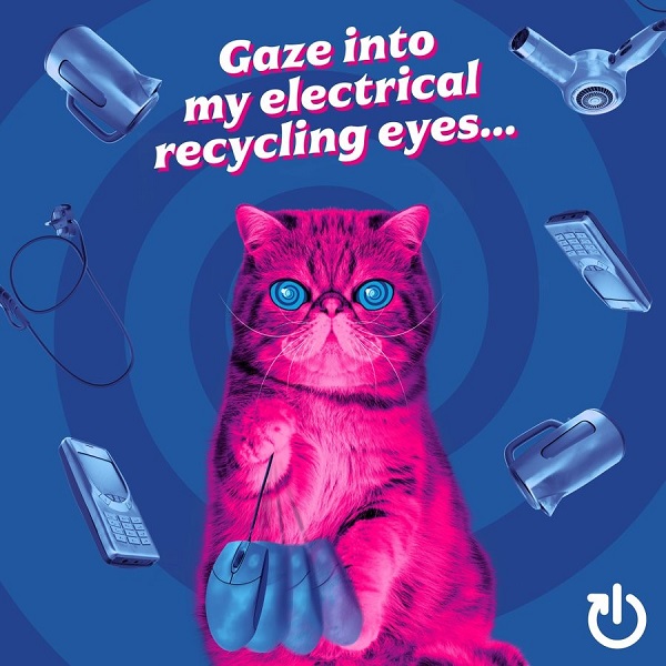 🎅Calling #christmas shoppers! Many of us buy new electronics for presents ♻️#HypnoCat is face of UK's Recycle Your Electricals campaign to reuse & recycle unwanted electricals 👉Don’t let old electricals go to waste. Find your local recycling points at: bit.ly/3rYEPpa