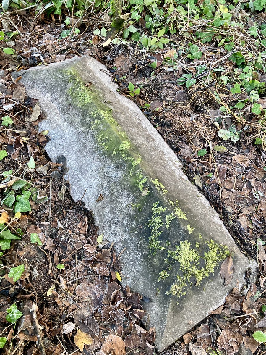 Friends of Dalry Cemetery tweet media