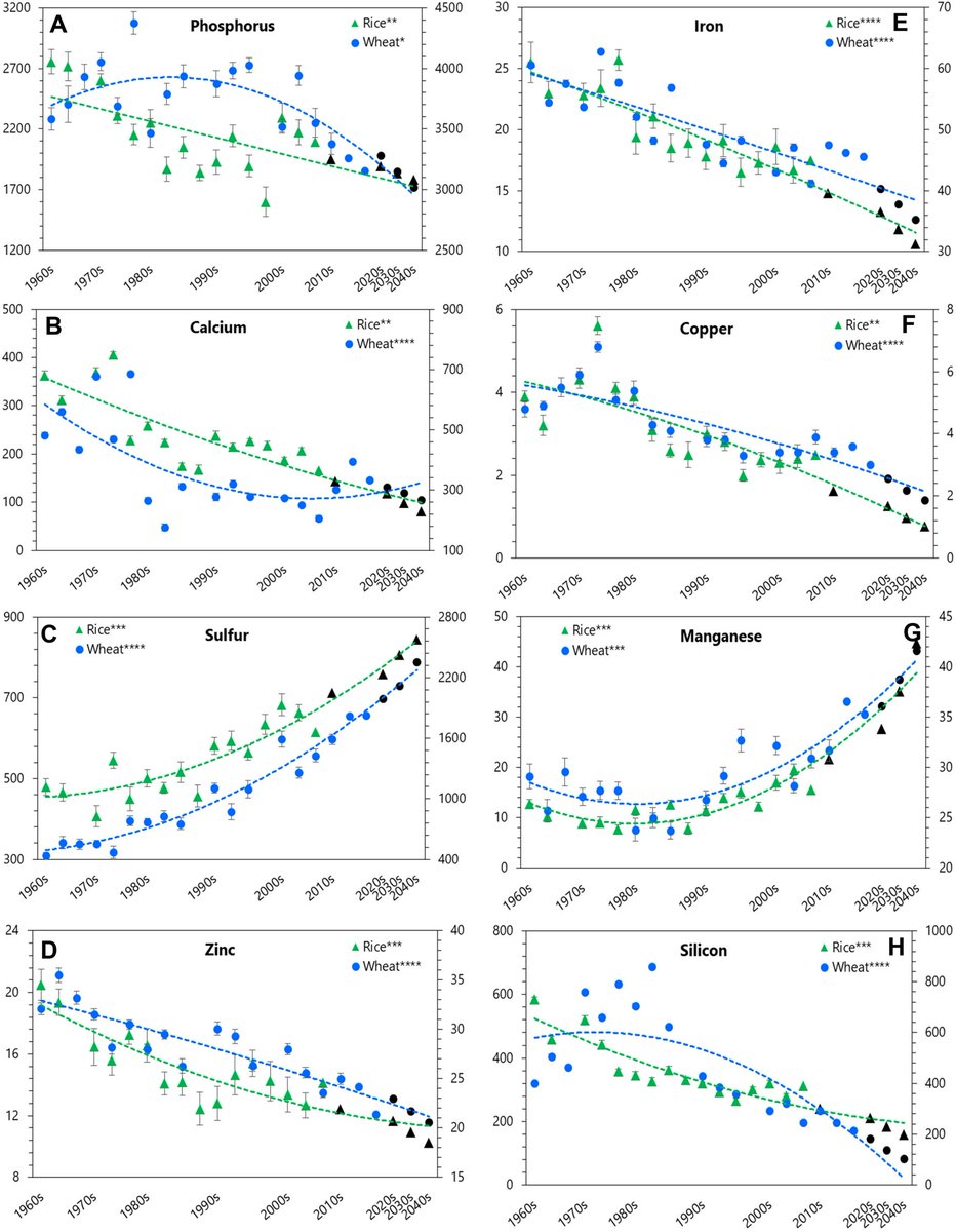 Rice and wheat, two of the most crucial food staples worldwide, have experienced a significant decline in nutritional quality over the past 50 years. The essential mineral concentration in rice has decreased by 36%, while in wheat, it has dropped by 57%. At the same time,…