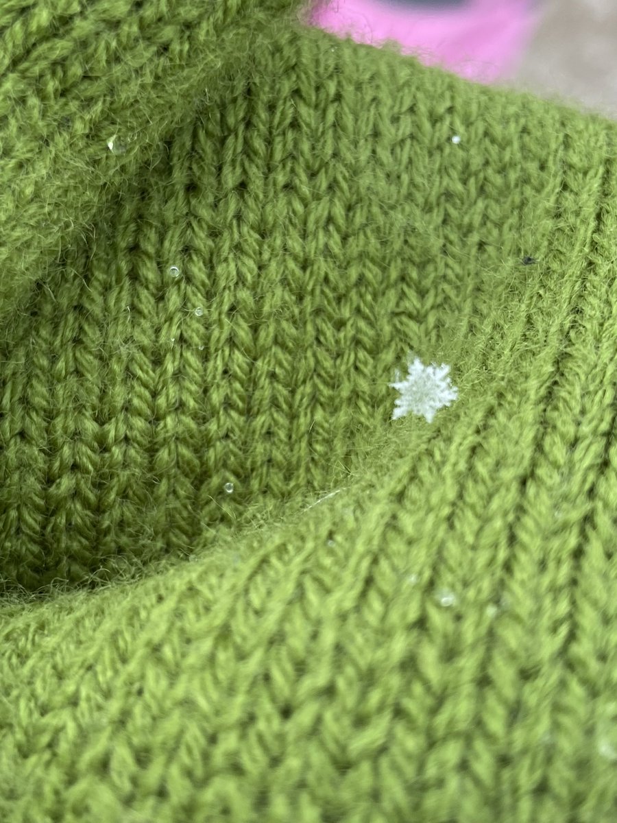shaefferclass's tweet photo. Having fun catching snowflakes ❄️@SLCSBrummer https://t.co/MLGOAI4Lfx
