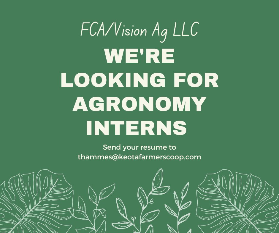 Are you looking for an Agronomy Internship?

We are looking to hire 3 Agronomy Interns at the following locations
📍Ainsworth
📍Keota
📍Richland

Learn more on our website TODAY! 
keotafarmerscoop.com/full-time-part…

#internships #iowajobs #hiring #keotaia #visionag