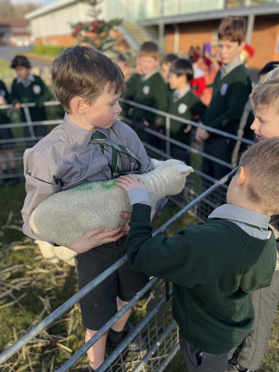 CCJuniorY3's tweet photo. This afternoon #CCJYear3 enjoyed a visit from some Christmas Lambs! 
We certainly aren’t feeling very baaa-humbug anymore! #CCFamily #CCThrive https://t.co/NuqwbJNdWF