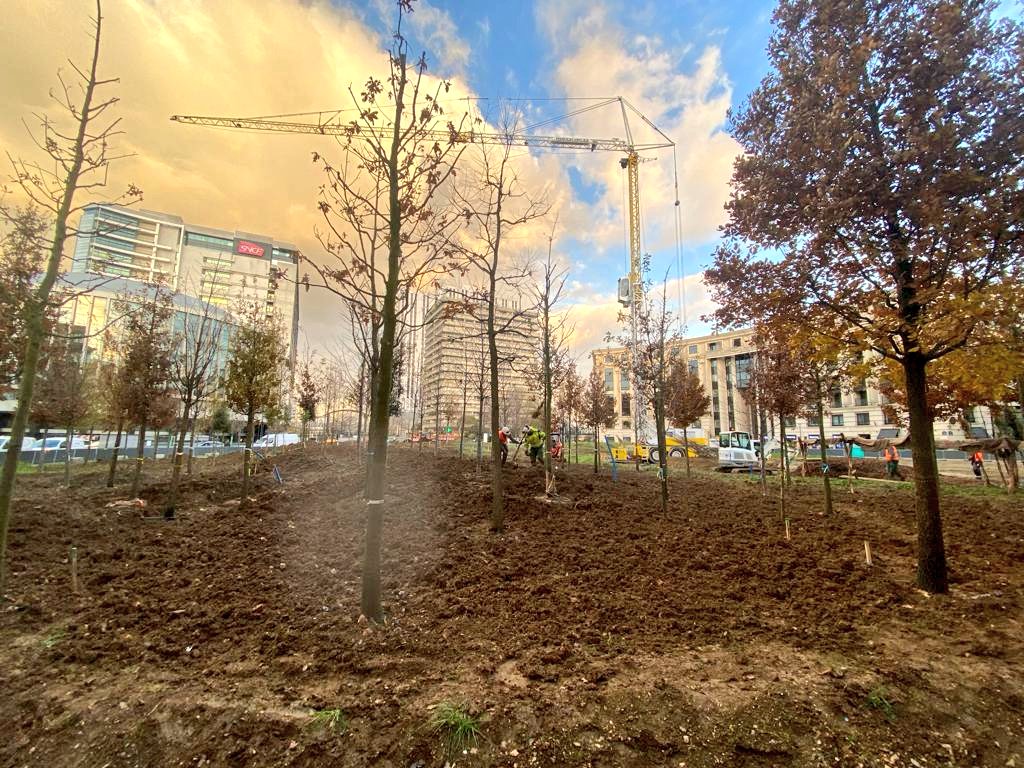 David_Belliard's tweet photo. Place de catalogne, dans le 14e. C'était un rond-point avec plein de bitume et de voitures. Avec @Anne_Hidalgo, nous sommes en train d'en faire une forêt, futur espace de nature et de fraîcheur 🌳
On y plante +460 arbres sur +4000m2. La température ressentie y sera inférieure de 4 degrés en période de canicule ☺️

Bravo aux équipes et à @carine_petit @Guill_Durand @C_Najdovski