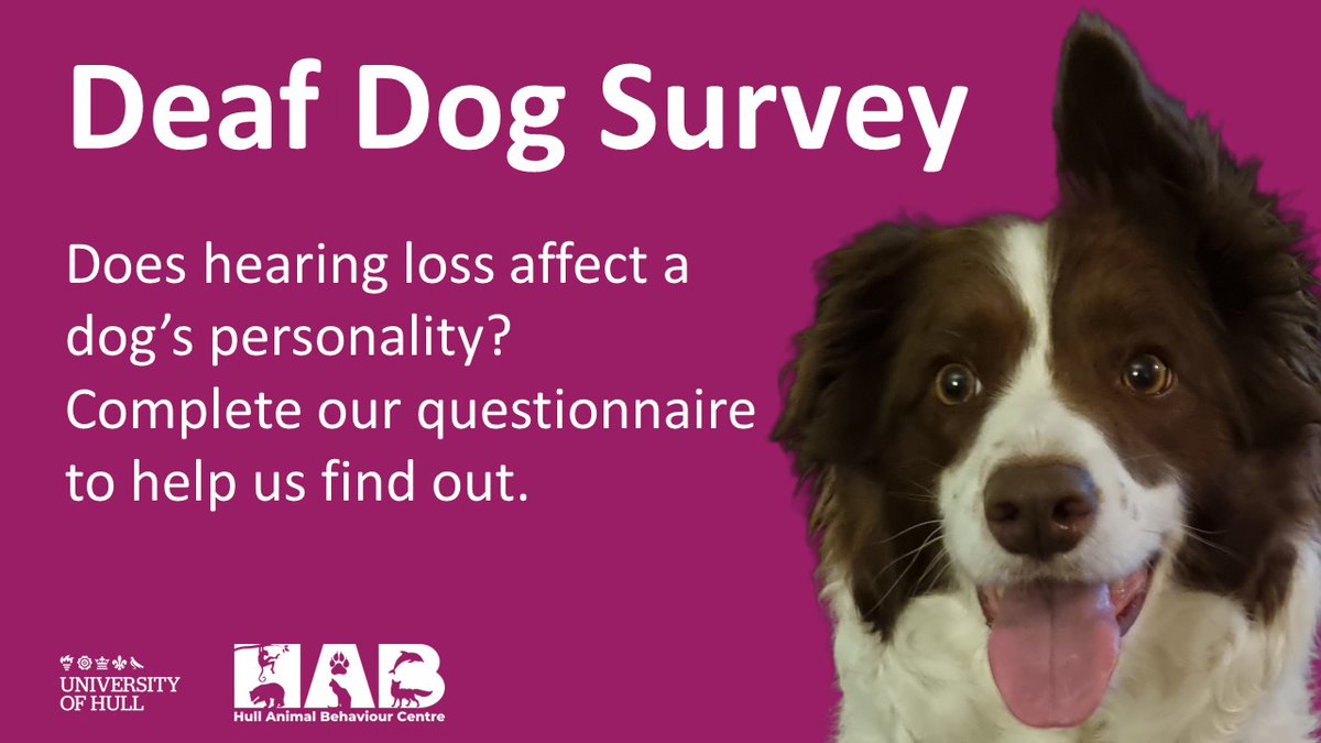 davidngeorge's tweet photo. If you have a dog, please consider taking 10 minutes to complete my student's questionnaire. She's interested in whether deafness affects dogs' personality and behaviour, but she really needs owners of hearing dogs to take part, too!
https://t.co/fPgLVhzE2Z https://t.co/1HW06kn7Sh