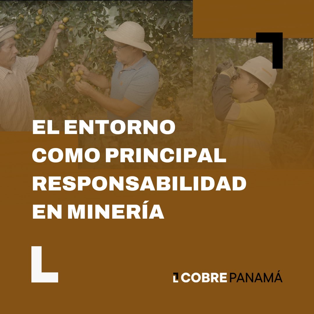 Cobre Panamá tweet media