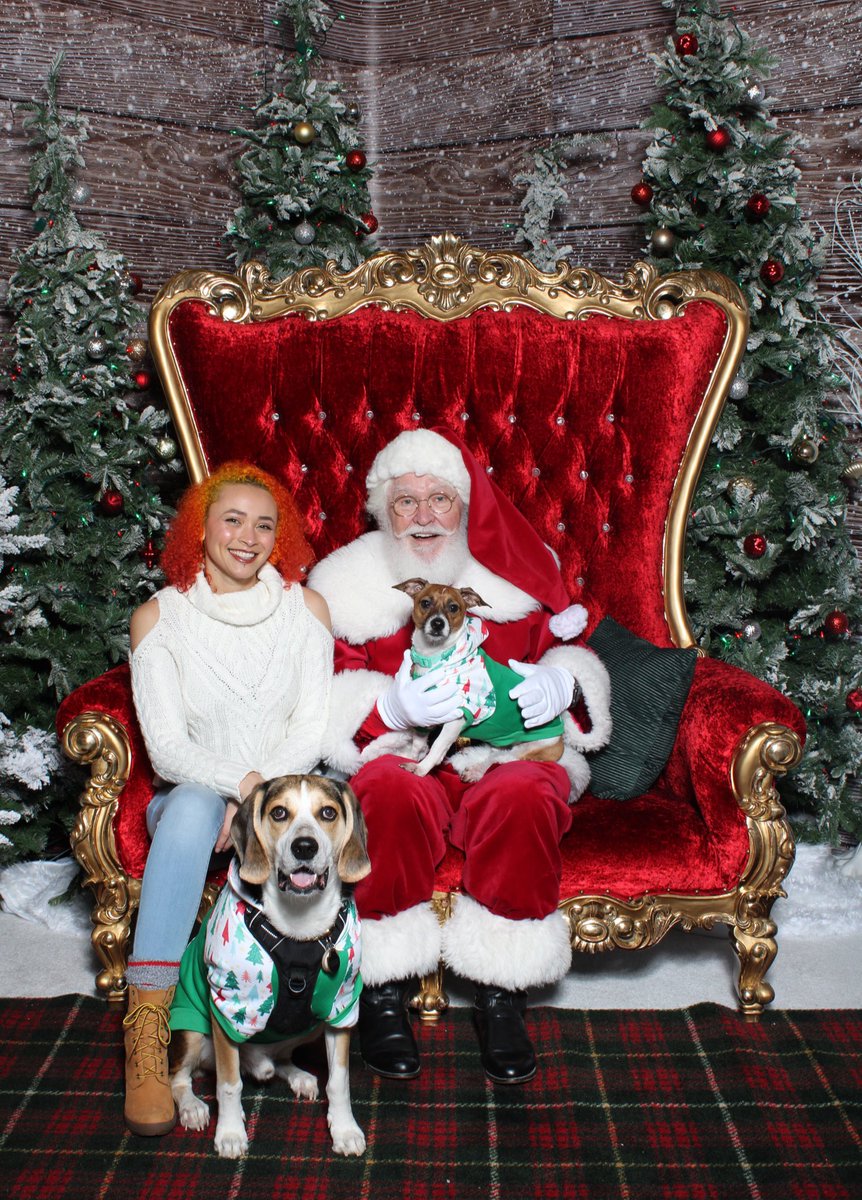 breeneriece's tweet image. Solo, Lando, and I just got photos with Santa! 🎅🏻