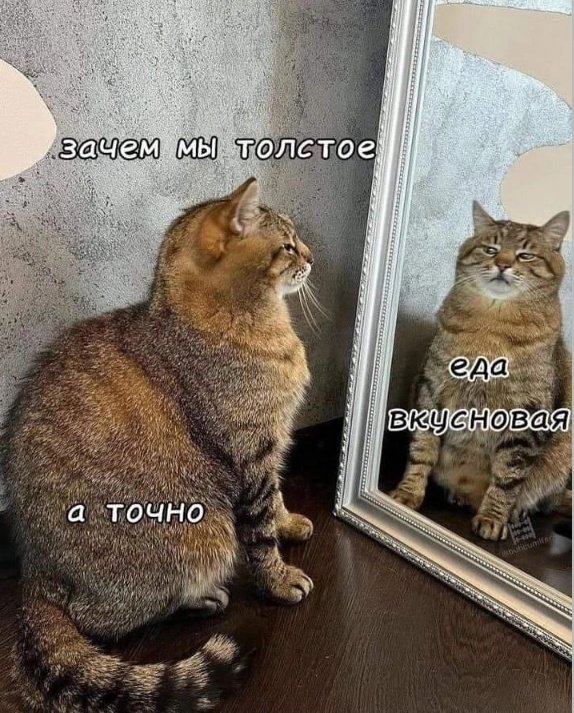 jonXPIss5jVTXVT's tweet photo. @memesmymemes https://t.co/s2XzVXSUSV