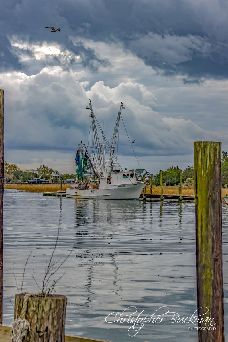 Today's a great day to support the South Carolina shrimping industry!
Head to your local seafood market &amp; ask for fresh, locally-caught shrimp.  Every purchase helps our hardworking shrimpers &amp; ensures a sustainable future for our industry.
#SCShrimp #SupportLocal #EatShrimpToday