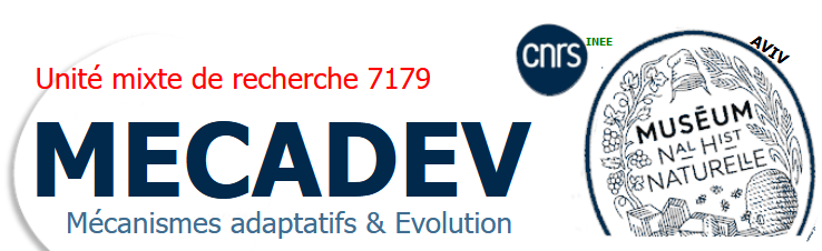 Possibilité de rejoindre @MECADEV par mobilité interne CNRS NOEMI. Si ça vous dit de devenir expert-e en développement d'expérimentation sur le plateau d'analyse du mouvement afin de répondre à des questionnements écologiques, biologiques et évolutifs...  mobiliteinterne.cnrs.fr/ords/afip/owa/…