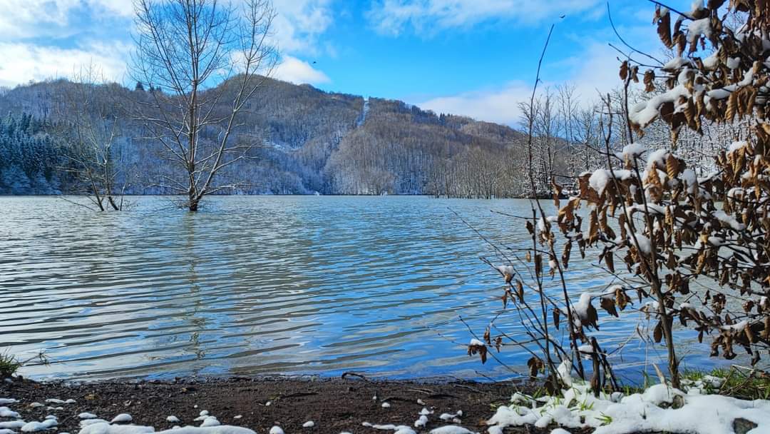 parcoantola's tweet photo. Ieri al Brugneto. L'inverno alla diga...

⚠️InformAntola. 
A seguito delle intense precipitazioni si sono verificati diffusi fenomeni di dissesto idrogeologico che hanno interessato particolarmente il Sentiero del Brugneto che, attualmente risulta interrotto in più punti. https://t.co/PayuQgKDZR