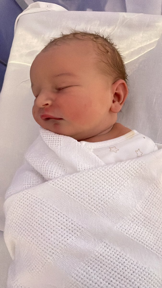 Chelsea DeMon tweet media