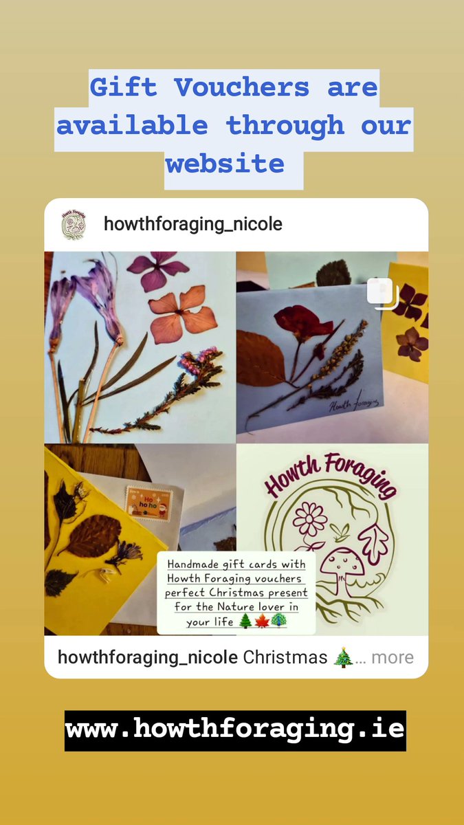 Howth Foraging Gift Voucher perfect gift for the nature lover in your life ✨️ howthforaging.ie #Christmas #vouchers #Ireland #nature #gift #giftideas #giftsforher #family