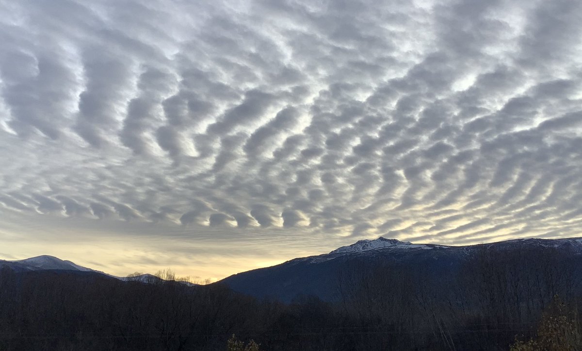 Luis Durán tweet media