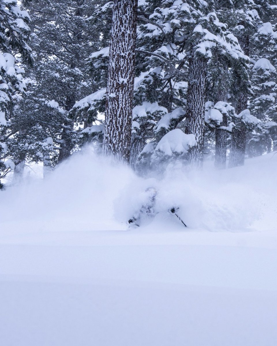 Fall/Winter look styled by nature. Hair and makeup by the wind. Outfit sewn from end of roll material. Ready for my skin track cat walk whenever winter decides to make an appearance. 

Shot by <a href="/MingPoon/">Ming Poon</a>