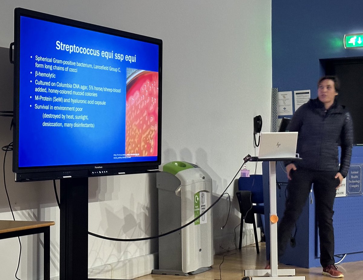 WeipersEquine's tweet photo. Change of topic now @WeipersEquine #FestiveCPD supported by #Dechra our own #DrTineSchliewert on what’s new with strangles https://t.co/fBBd9Nu1FQ