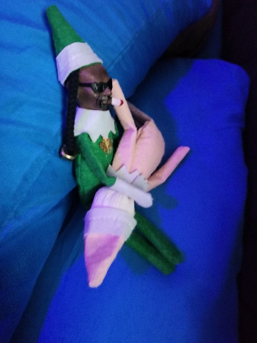 My elf on the shelf is wild