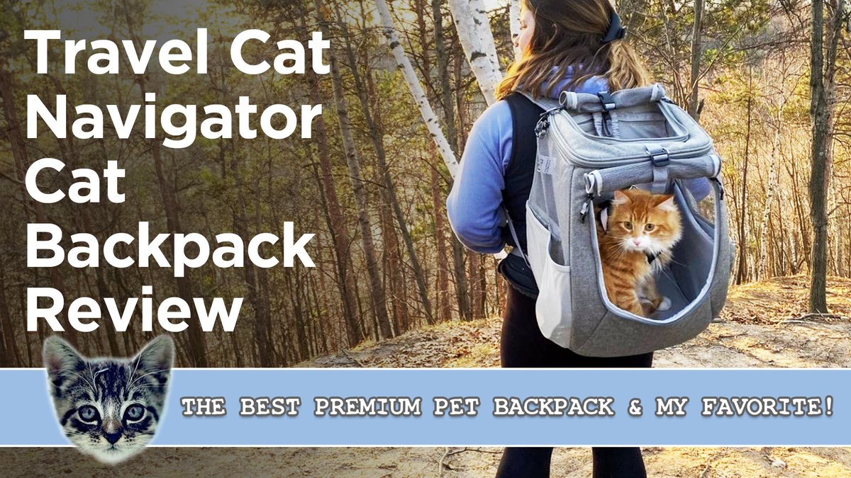 catsnkittys's tweet image. 🐱 Ready for a cat adventure?

Find out why the Travel Cat Navigator Backpack is our favorite cat backpack 🎒

Watch the full review here ➡️➡️➡️ youtu.be/srEXdy1fUFY

#CatBackpack #CatTravel #PetGear #TravelCat #AdventureCats #PetBackpack