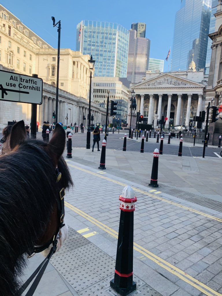 CityHorses's tweet photo. Also covering #Walbrook #BankJunction and #cheapside https://t.co/Kzd9Ijed5h