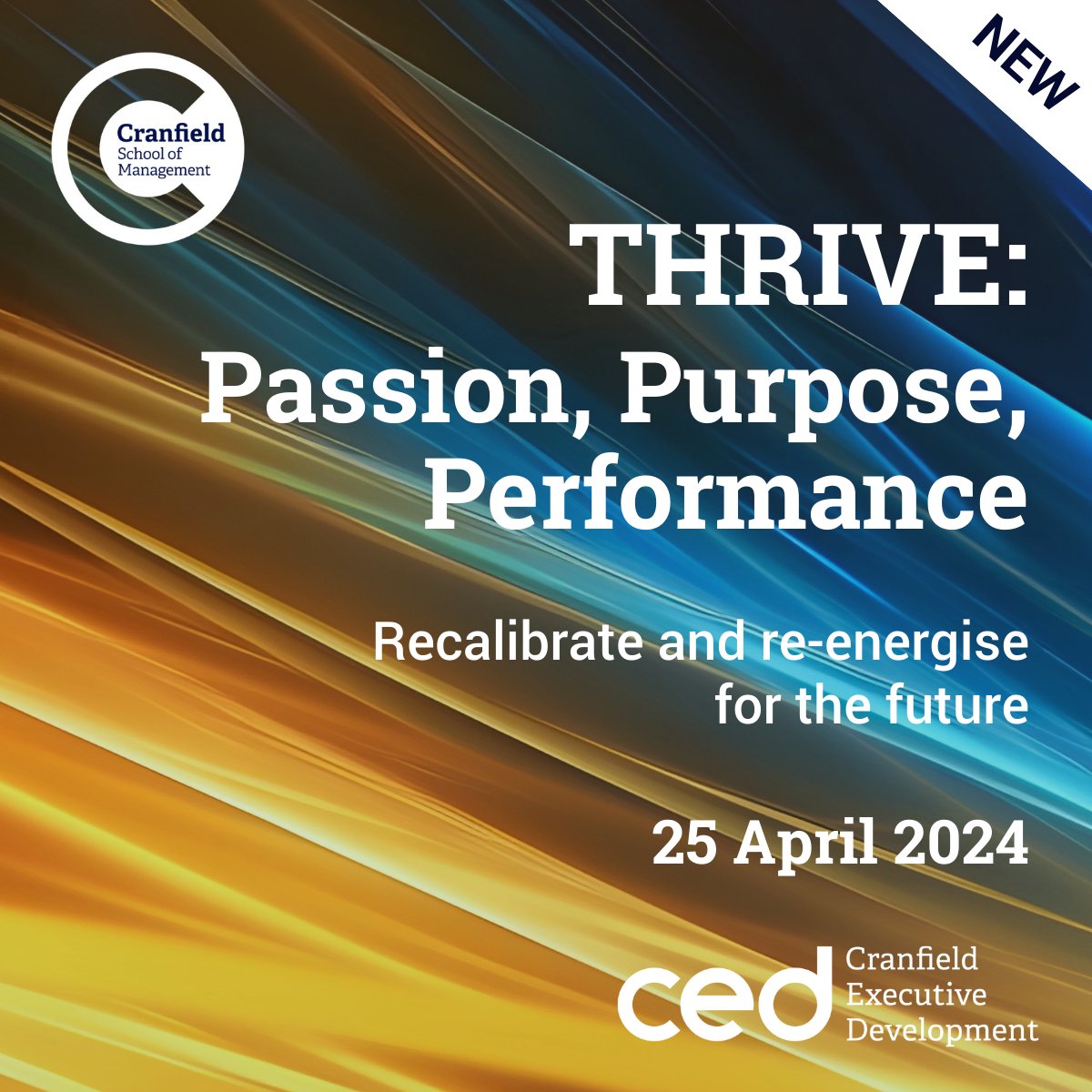Introducing our exciting NEW programme THRIVE: Passion, Purpose, Performance.

Ignite your passion, clarify your purpose, and sustain your performance with THRIVE.

Explore THRIVE &gt;&gt; bit.ly/3t1lSm6

#Cranfield #THRIVE #Leadership #ExecutiveDevelopment #Education