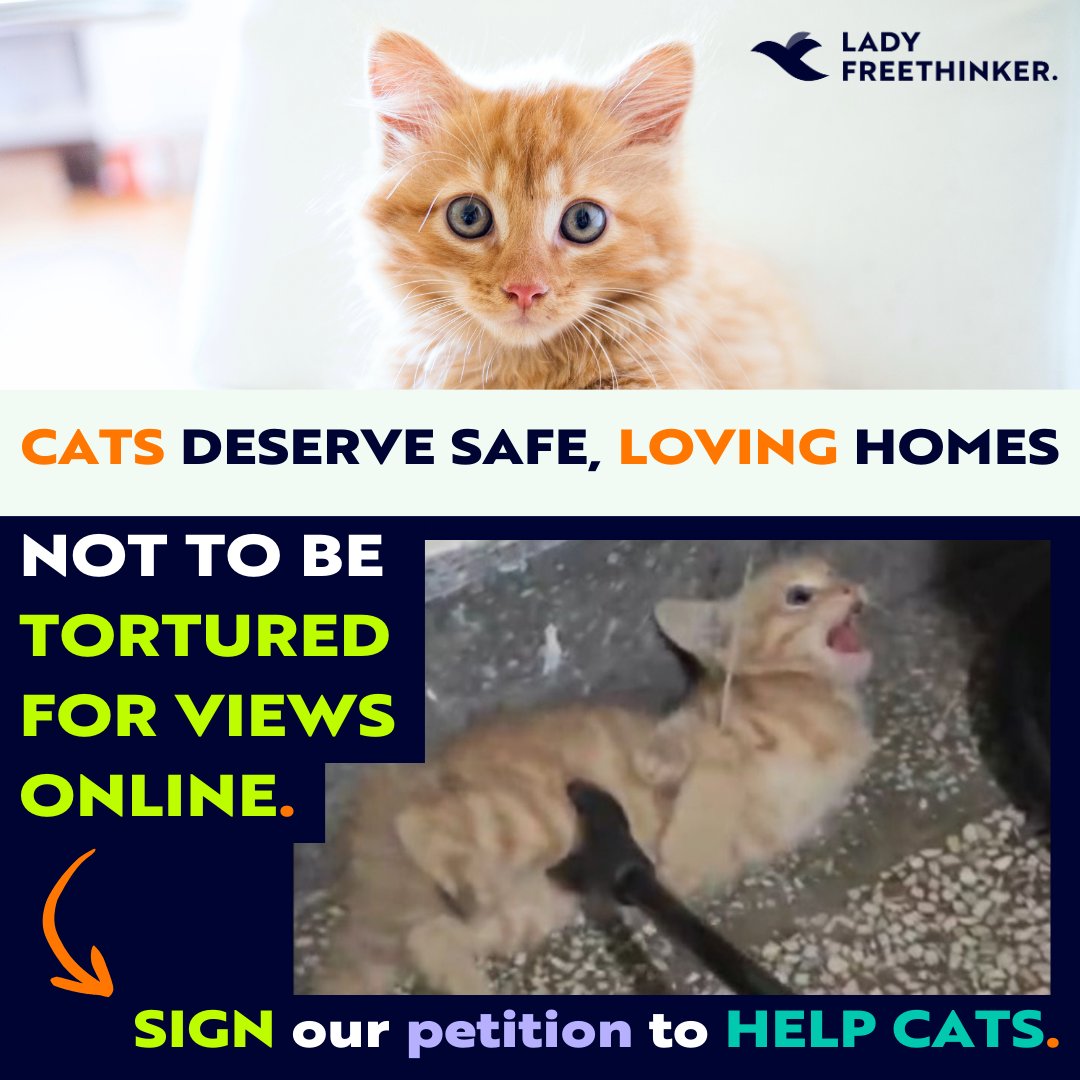 LadyFreethinker's tweet photo. 📢 #Cats in #China are reportedly being force-fed acid, burned alive, and doused in boiling water for videos posted online. Cat torture groups have reportedly used Chinese #socialmedia to compare notes on how to kill innocent cats for “fun.”

🐈 HELP CATS: https://t.co/SE6dVGOea2 https://t.co/BQARs1wfF6