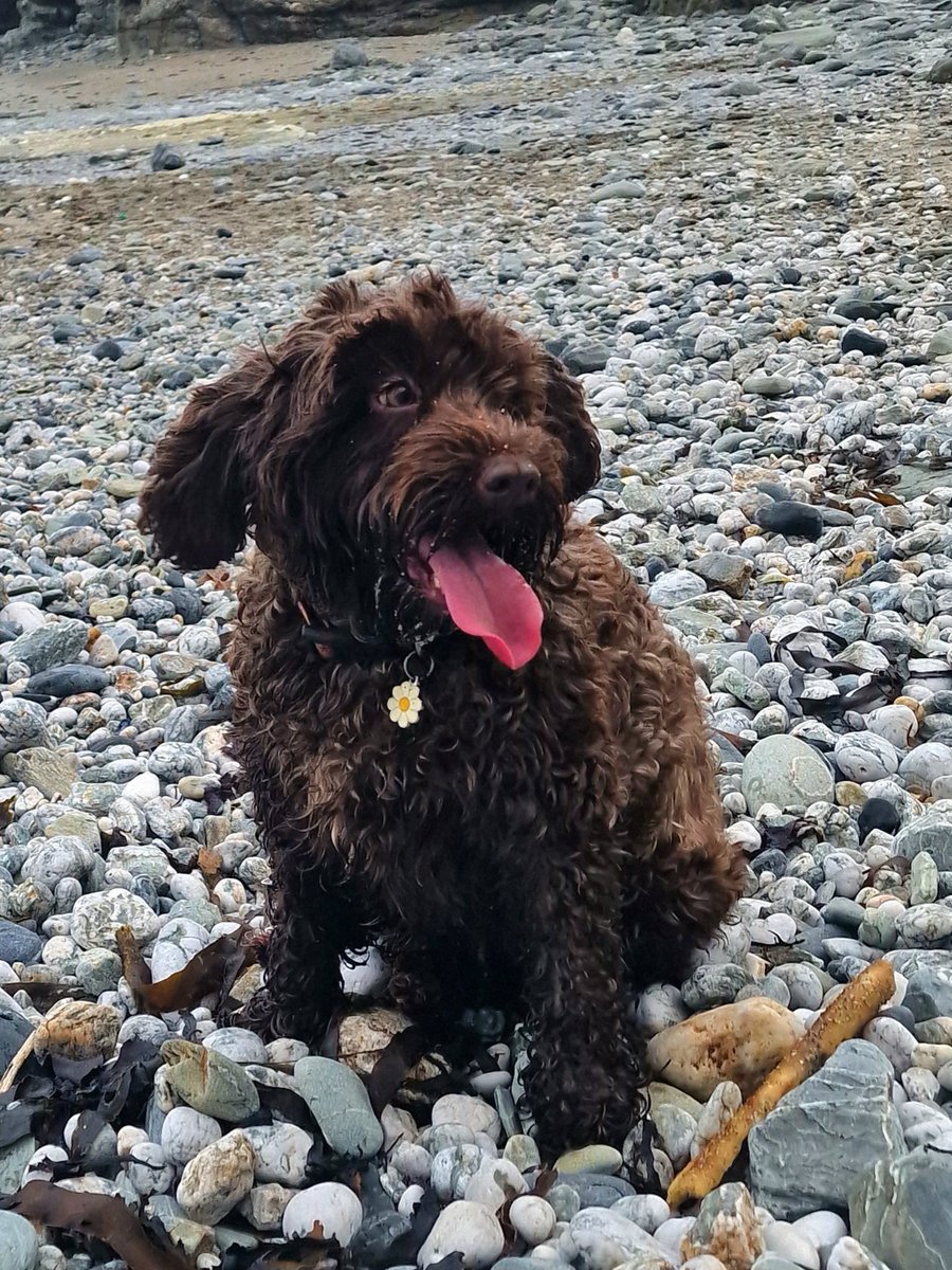 Beach time in a bid to get grounded today! Even Mrs Molls wears her daisy of resiliency!