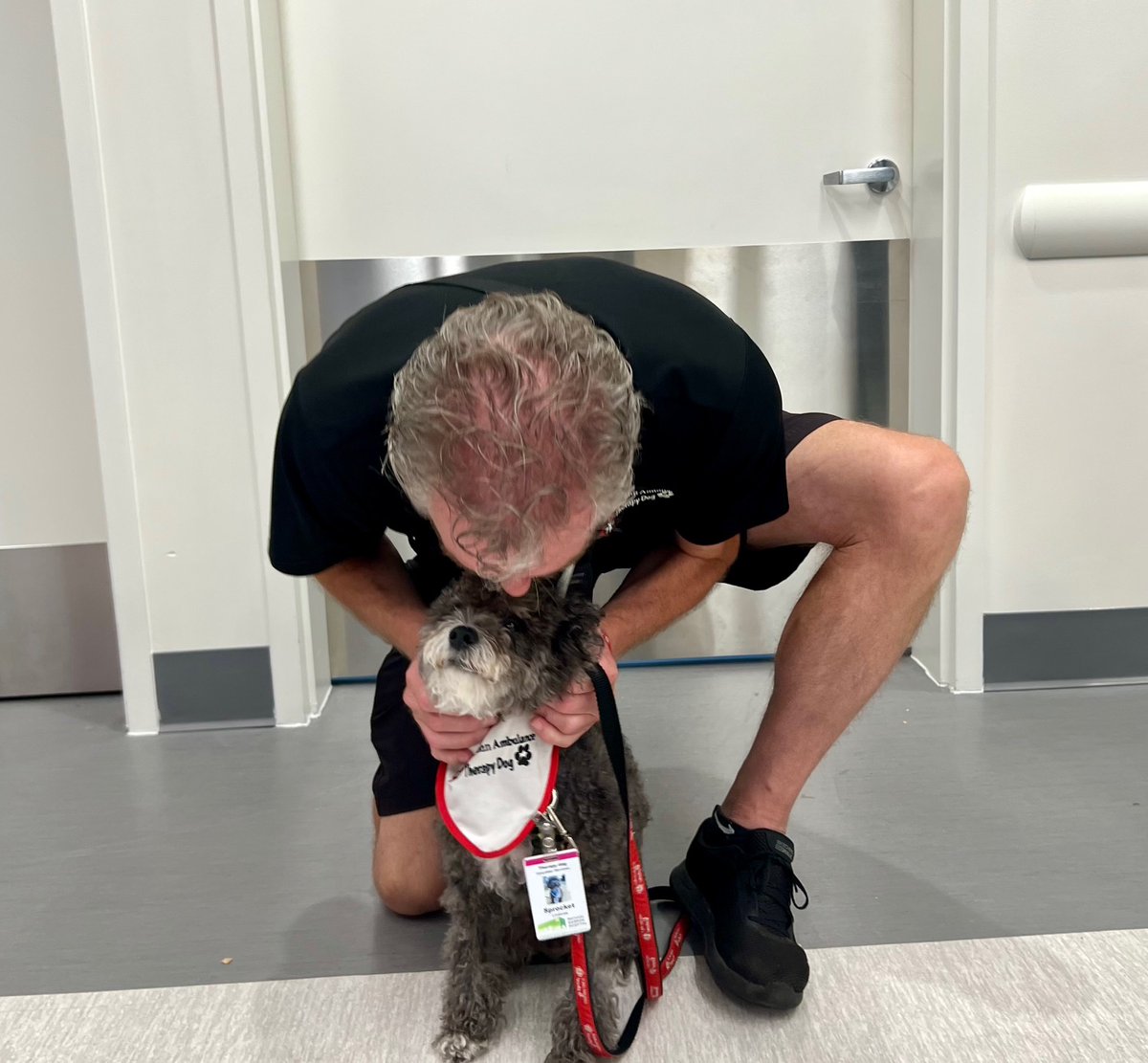 Therapy dogs provide comfort to patients &amp; staff and are valued members of our volunteer team at MGH. 
Today, we share some sad news. Our sweet &amp; gentle friend Sprocket has crossed the rainbow bridge. Our thanks to Sprocket and handler David for the many visits. <a href="/toronto_T_Dogs/">SJA Toronto Therapy Dogs</a>