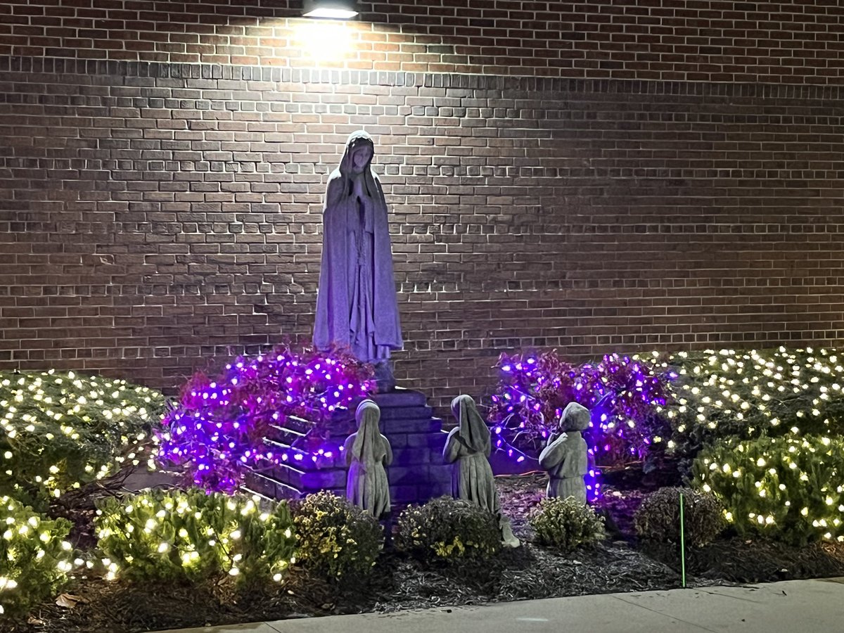 DLS_Tech's tweet photo. @delasallehs Our walk into school each morning. ❤️🎄 https://t.co/Npsci6OSWS