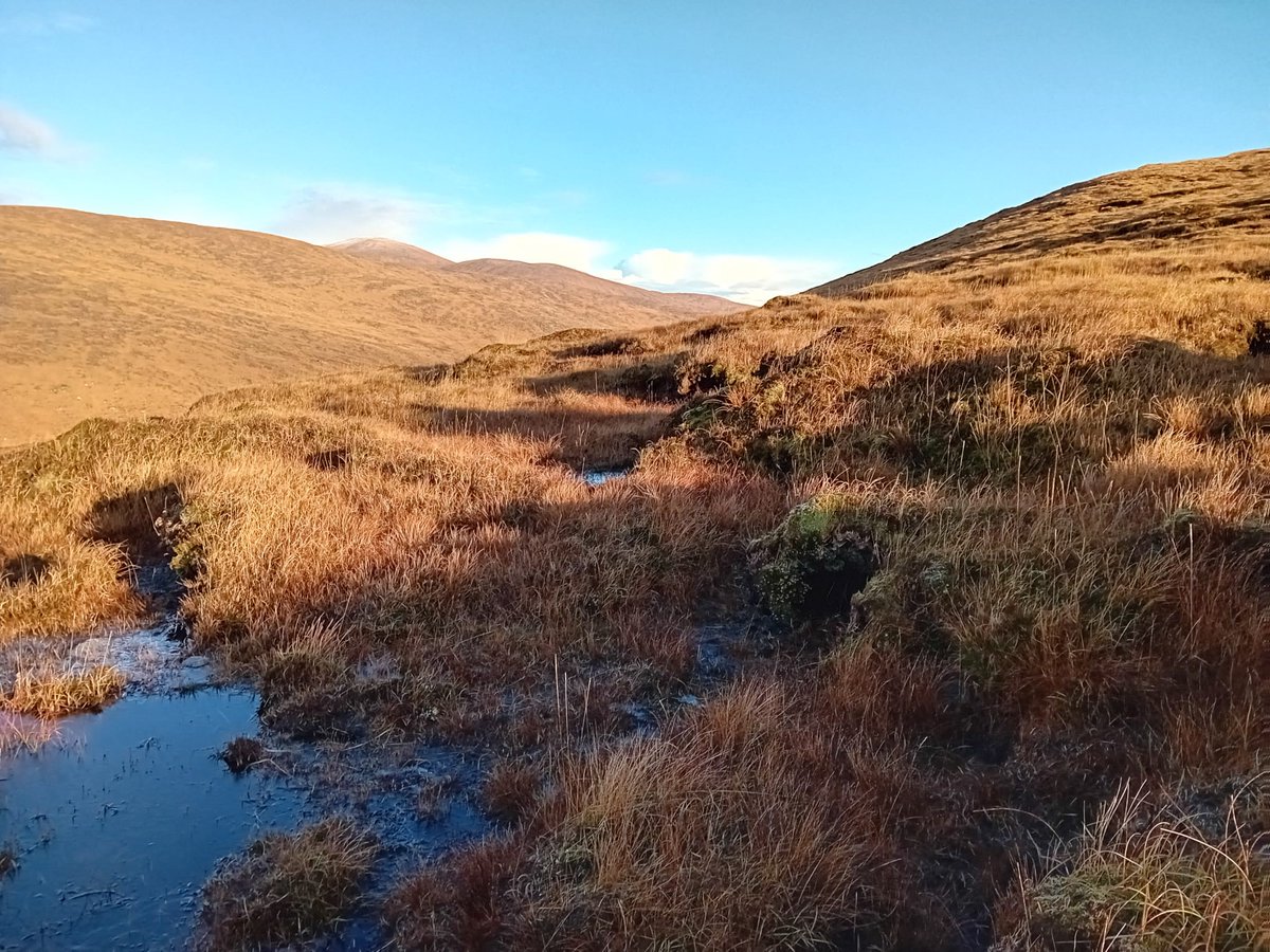 Lisa Orme (@lisaorme2) on Twitter photo My PhD student Cathal Ryan has written a blog post about his recent trip to the blanket bogs of the Glenveagh National Park in Donegal with <a href="/WAN_LIFEIP/">LIFE IP Wild Atlantic Nature</a> @scienceirel where he observed the work being done to protect these important bogs. lisaorme0.wixsite.com/pastcarbon/new… My PhD student Cathal Ryan has written a blog post about his recent trip to the blanket bogs of the Glenveagh National Park in Donegal with <a href="/WAN_LIFEIP/">LIFE IP Wild Atlantic Nature</a> @scienceirel where he observed the work being done to protect these important bogs. lisaorme0.wixsite.com/pastcarbon/new…