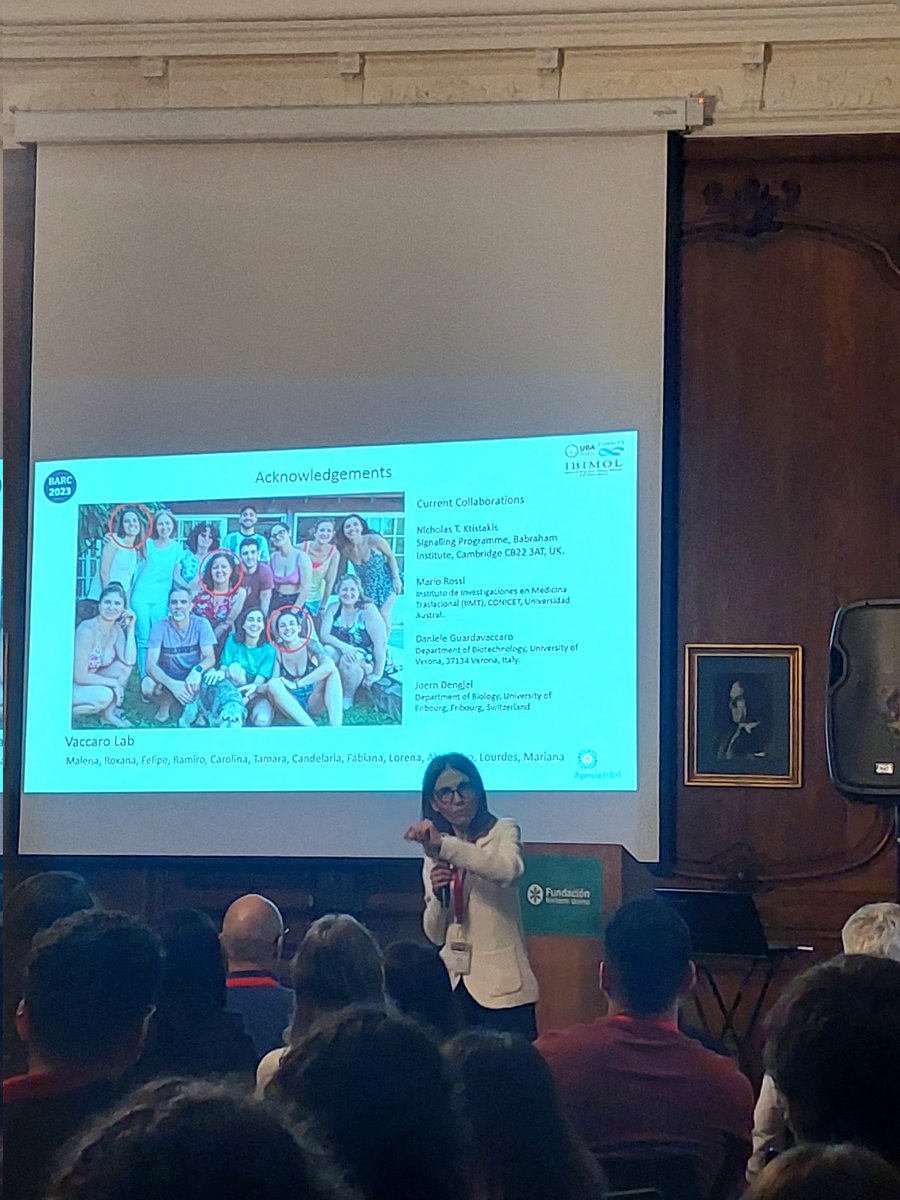 MarianaTadic's tweet photo. #BARC2023 Maria Inés Vaccaro presents #Secretory #Autophagy and #extracellular #vesicles in #pancreas disease
#IBIMOL @FFyB_UBA @Conicet @WAutophagy @AgEInves @leukocytebiol @histochemnews https://t.co/BbXOjsUf8t