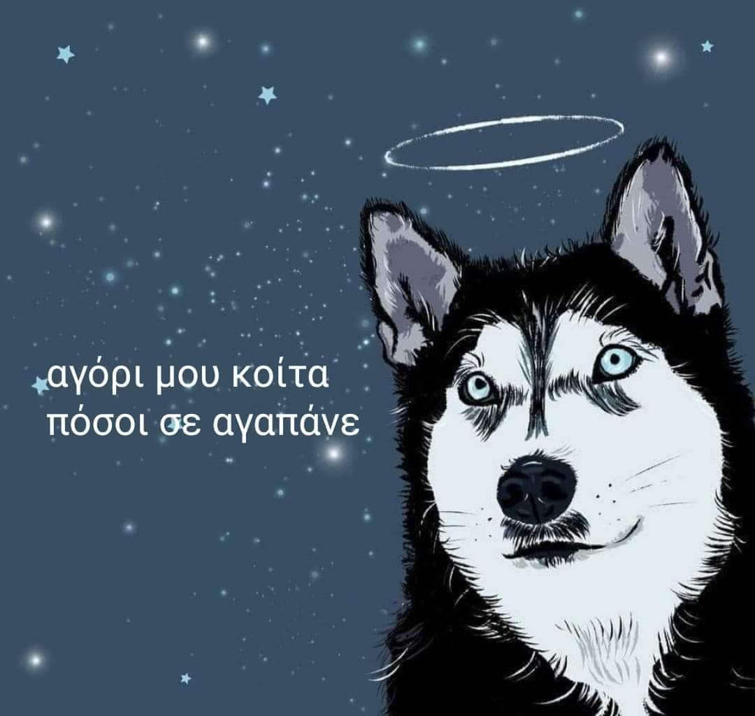 Christinalirou2's tweet photo. ΕΊΜΑΣΤΕ ΚΟΝΤΆ ΣΟΥ Κ ΕΊΜΑΣΤΕ ΠΟΛΛΟΙ. ΘΑ ΣΟΥ ΔΏΣΟΥΜΕ ΤΗΝ ΔΙΚΑΊΩΣΗ ΠΟΥ ΣΟΥ ΠΡΈΠΕΙ. #ΟΛΙΒΕΡ https://t.co/KgqVey3vsR